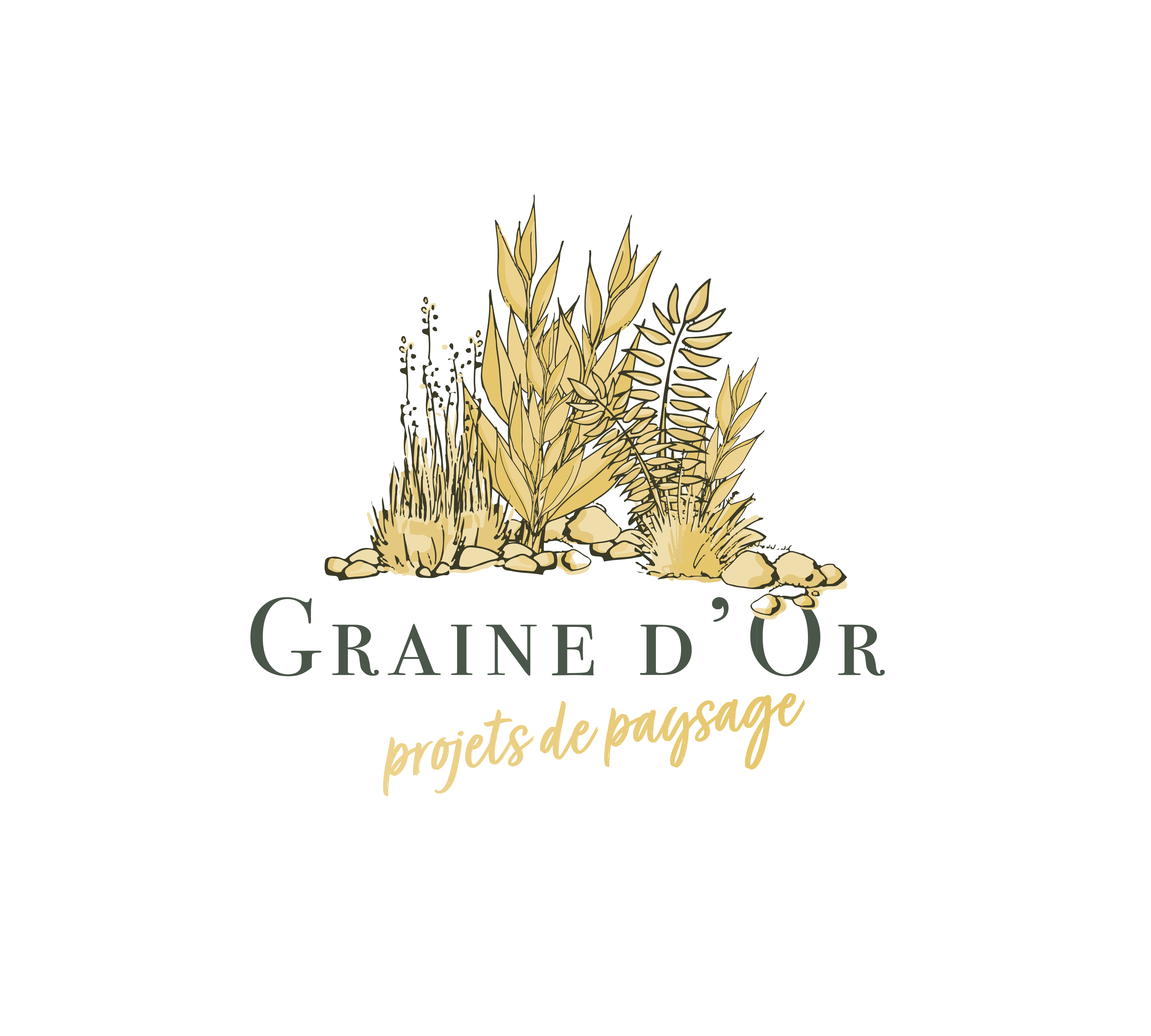 Création graphique du logo de l'entreprise de paysage Graine d'Or. Un graphisme fin et élégant à l'image de son entreprise